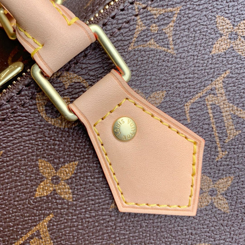 Louis Vuitton Luxury Bags 2663