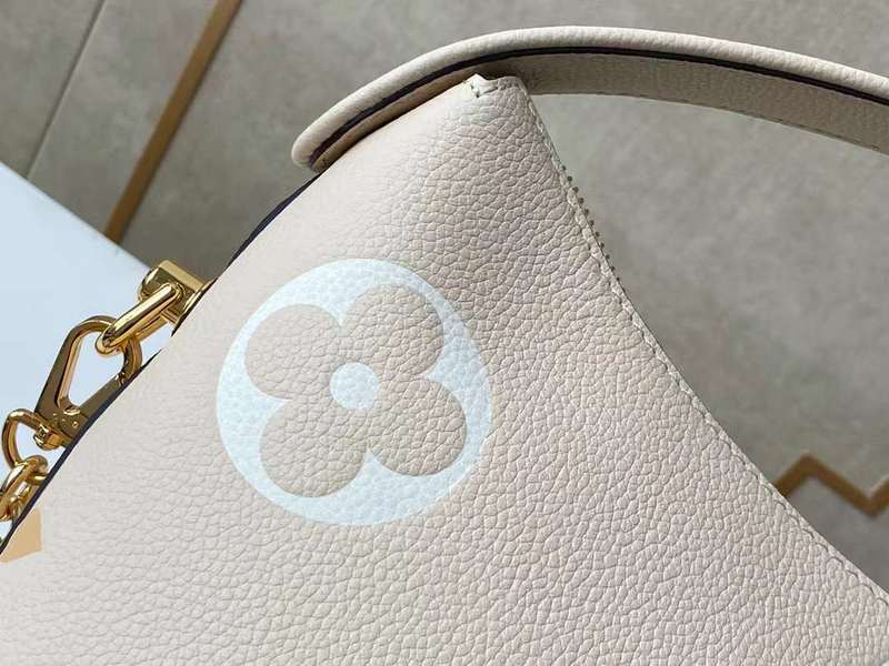 Louis Vuitton Luxury Bags 2527