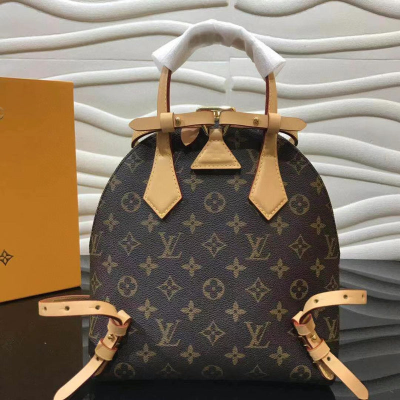 Louis Vuitton Luxury Bags 2551