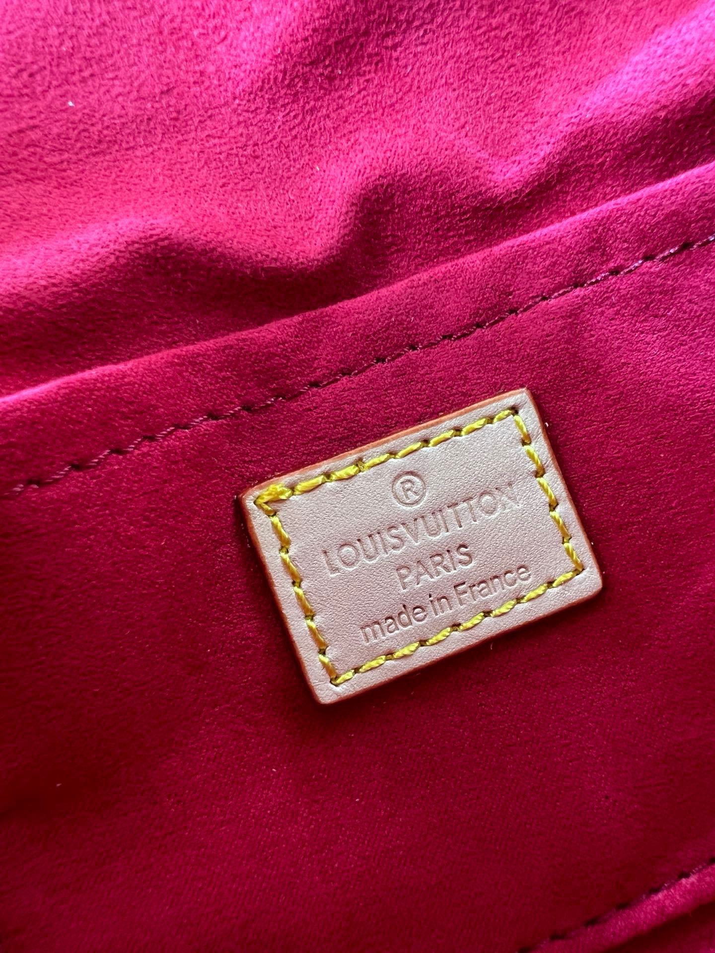 New Lux Bags Louis Vuitton  886