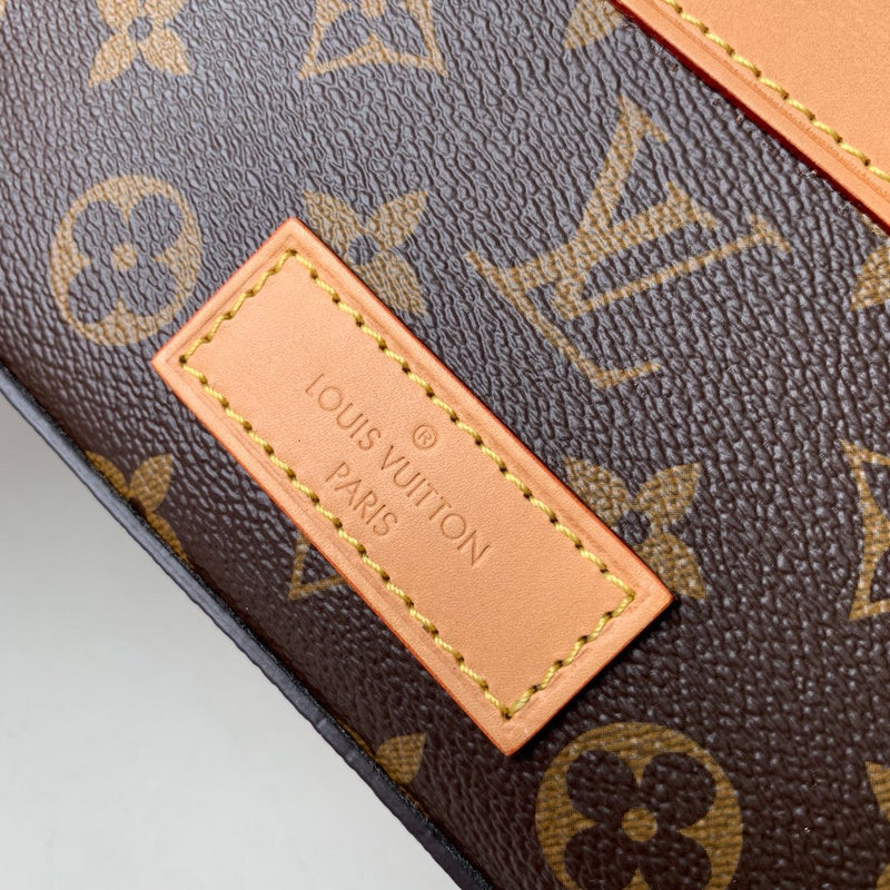 Louis Vuitton Luxury Bags 2829