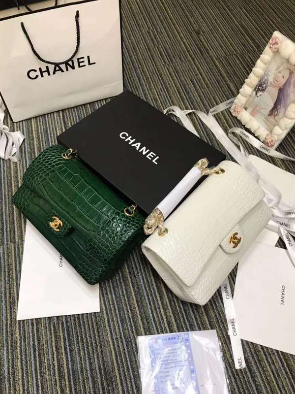 Chanel Bags - BG Bags - 611