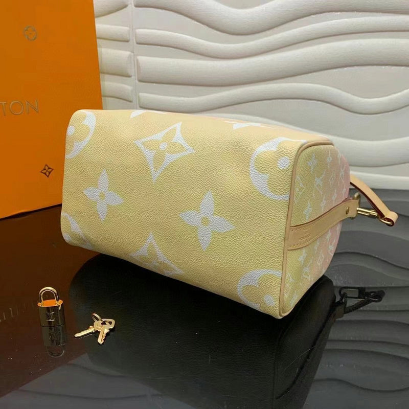 Louis Vuitton Luxury Bags 2524