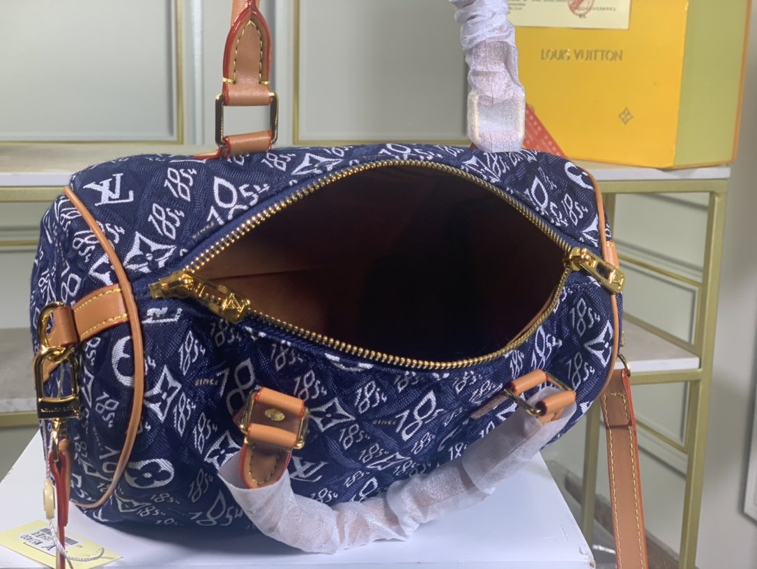 Designer Handbags louis vuitton 110