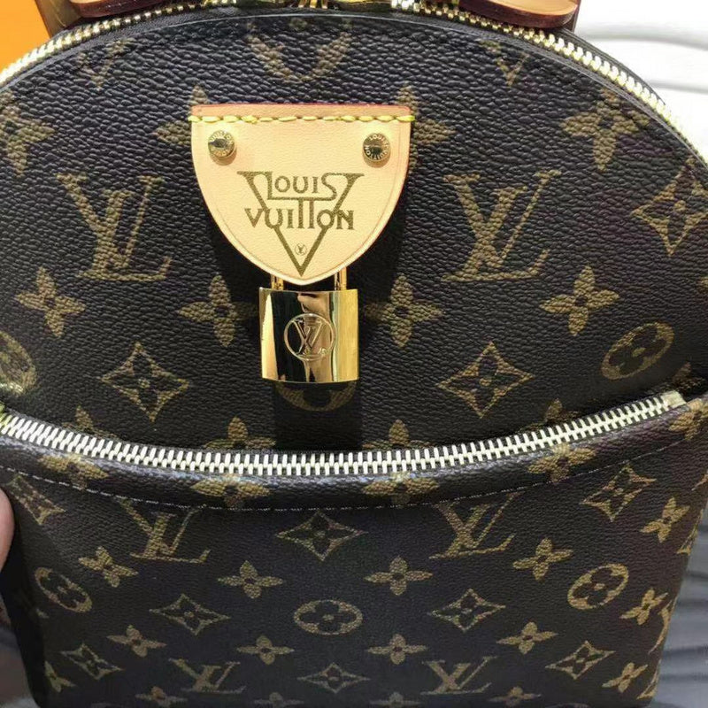 Louis Vuitton Luxury Bags 2551