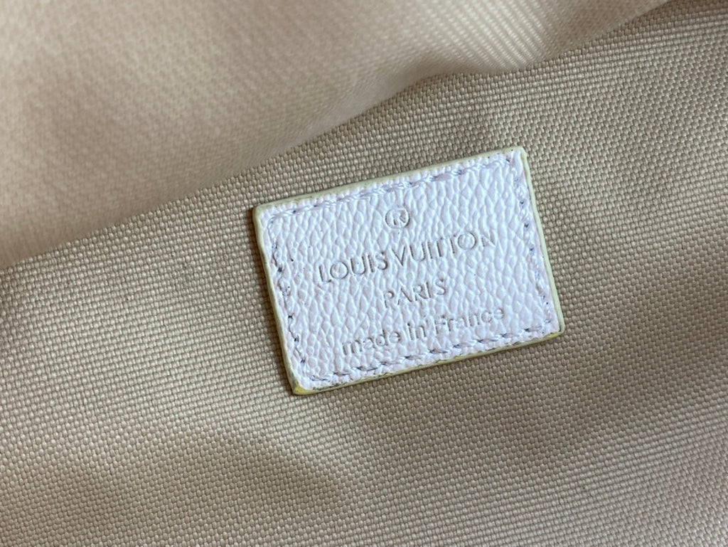 Luxury Bags Louis Vuitton  827