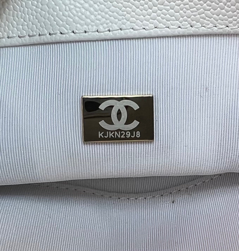 aura-bags - Chanel Bags - 2819