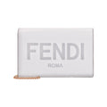 Fendi Roma Ghiaia Smooth Calf Leather Chain Wallet 8BS006