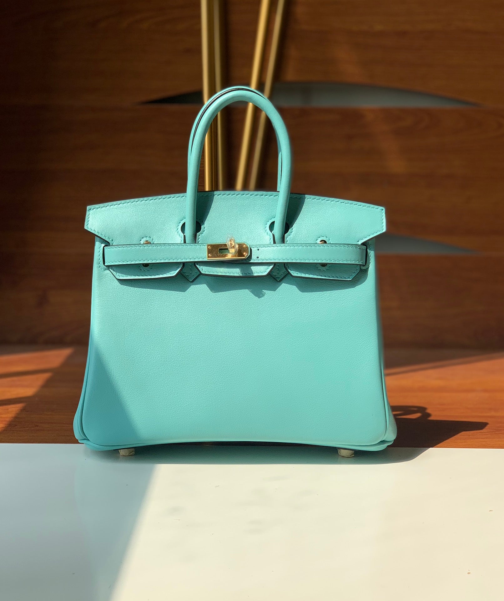 Hermes Birkin Bag (SPECIAL)