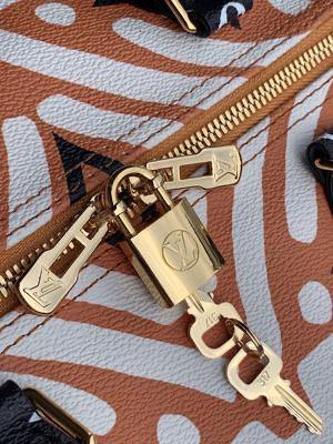Louis Vuitton Crafty Speedy Bandouli??re 25