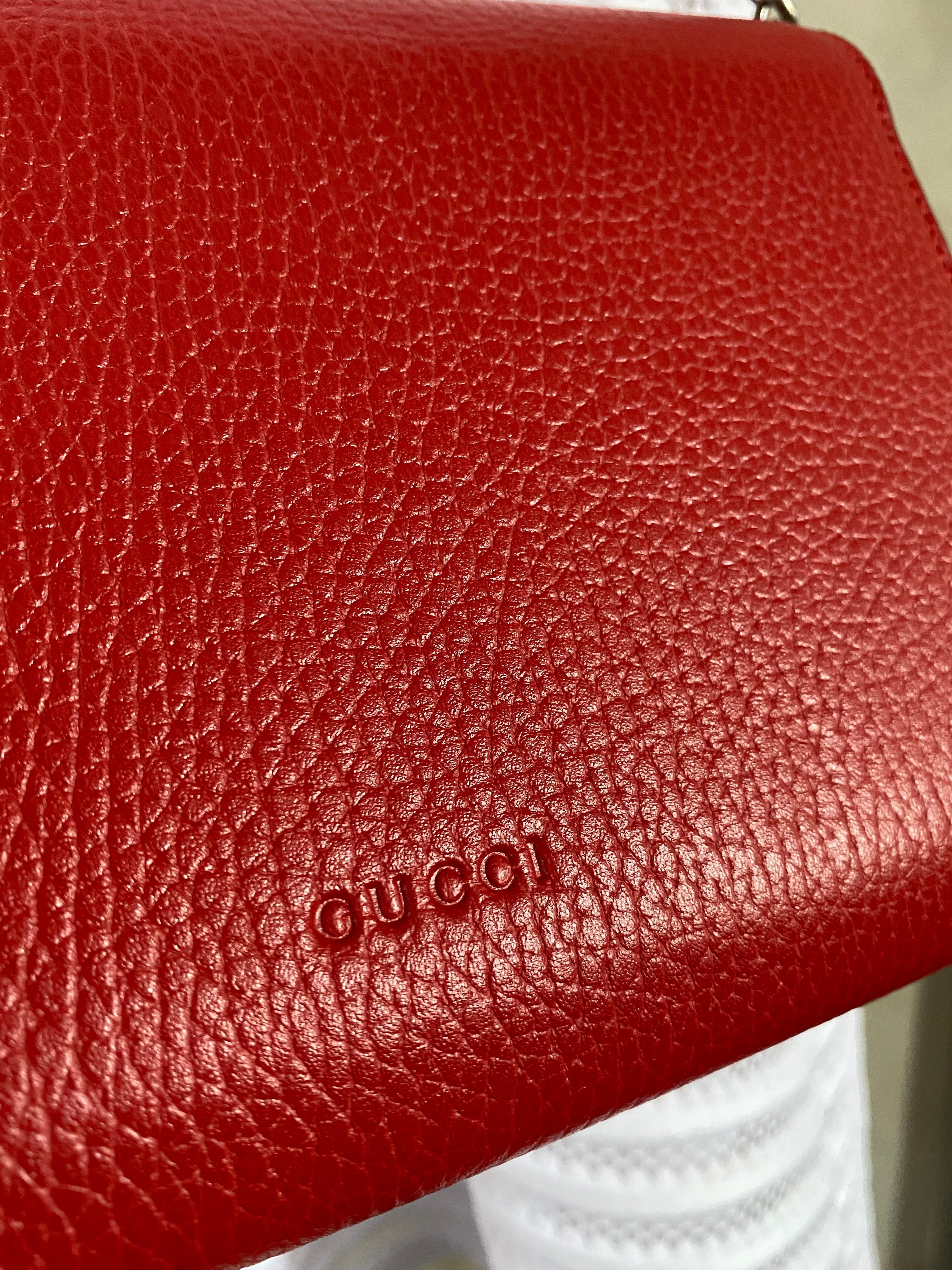 GUCCI DIONYSUS MINI