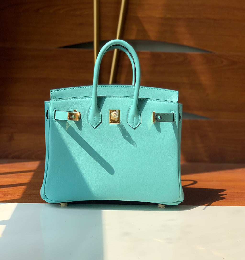 Hermes Birkin Bag (SPECIAL)