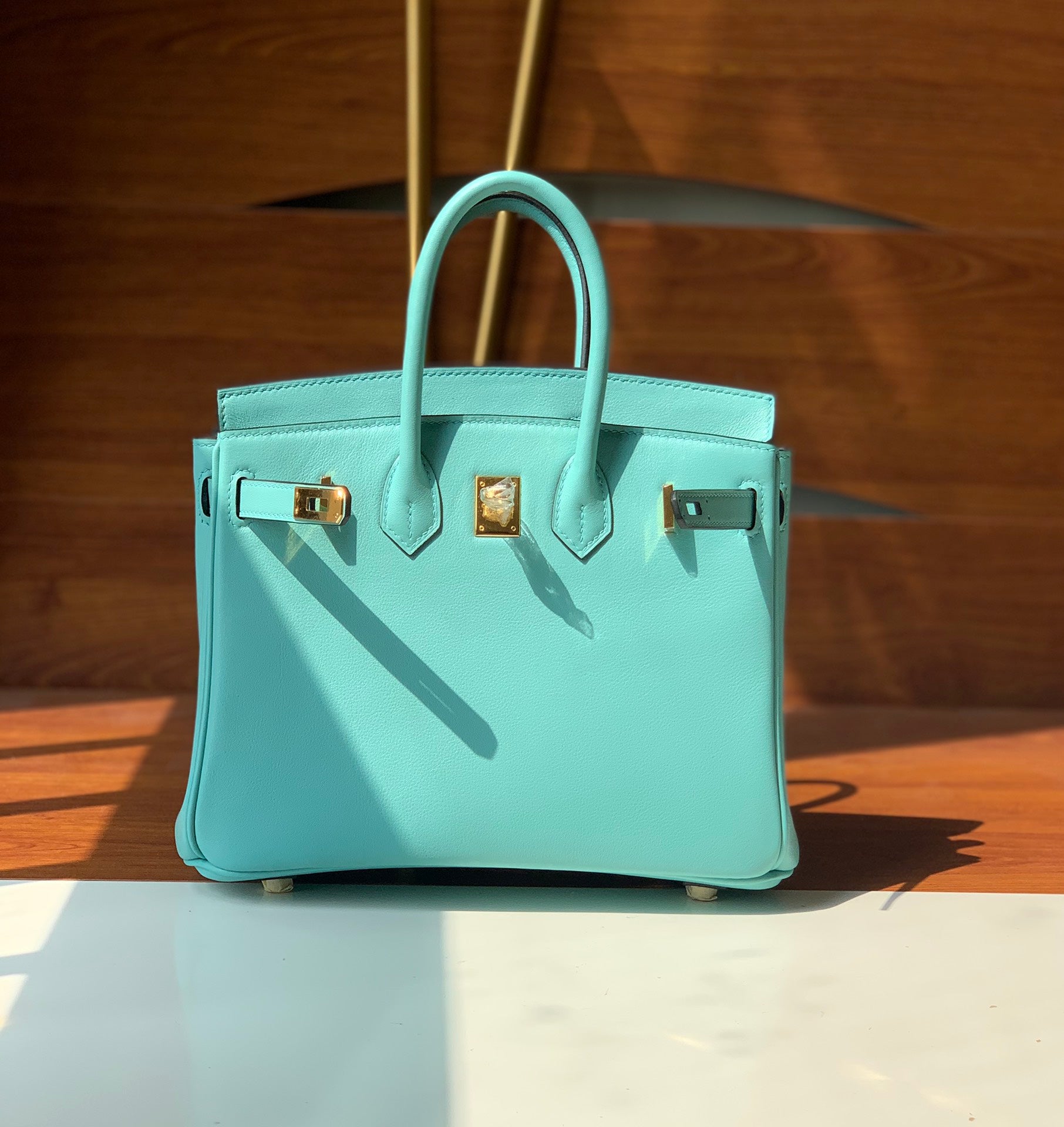 Hermes Birkin Bag (SPECIAL)