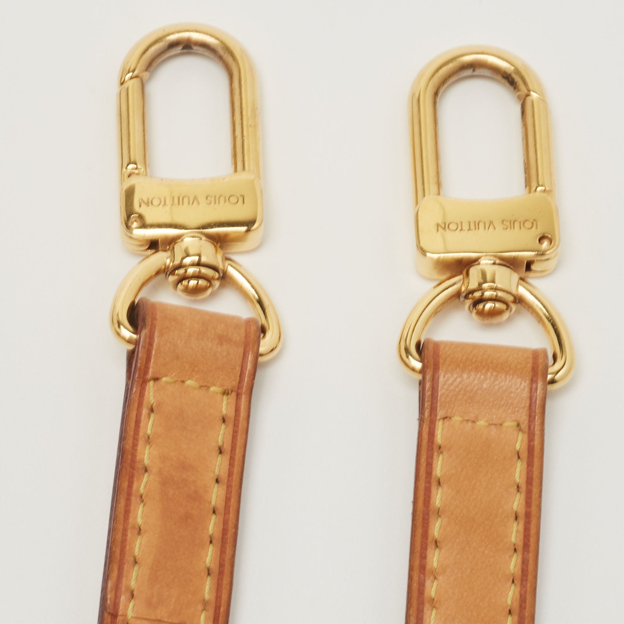 LOUIS VUITTON Monogram Canvas Estrela MM Bag