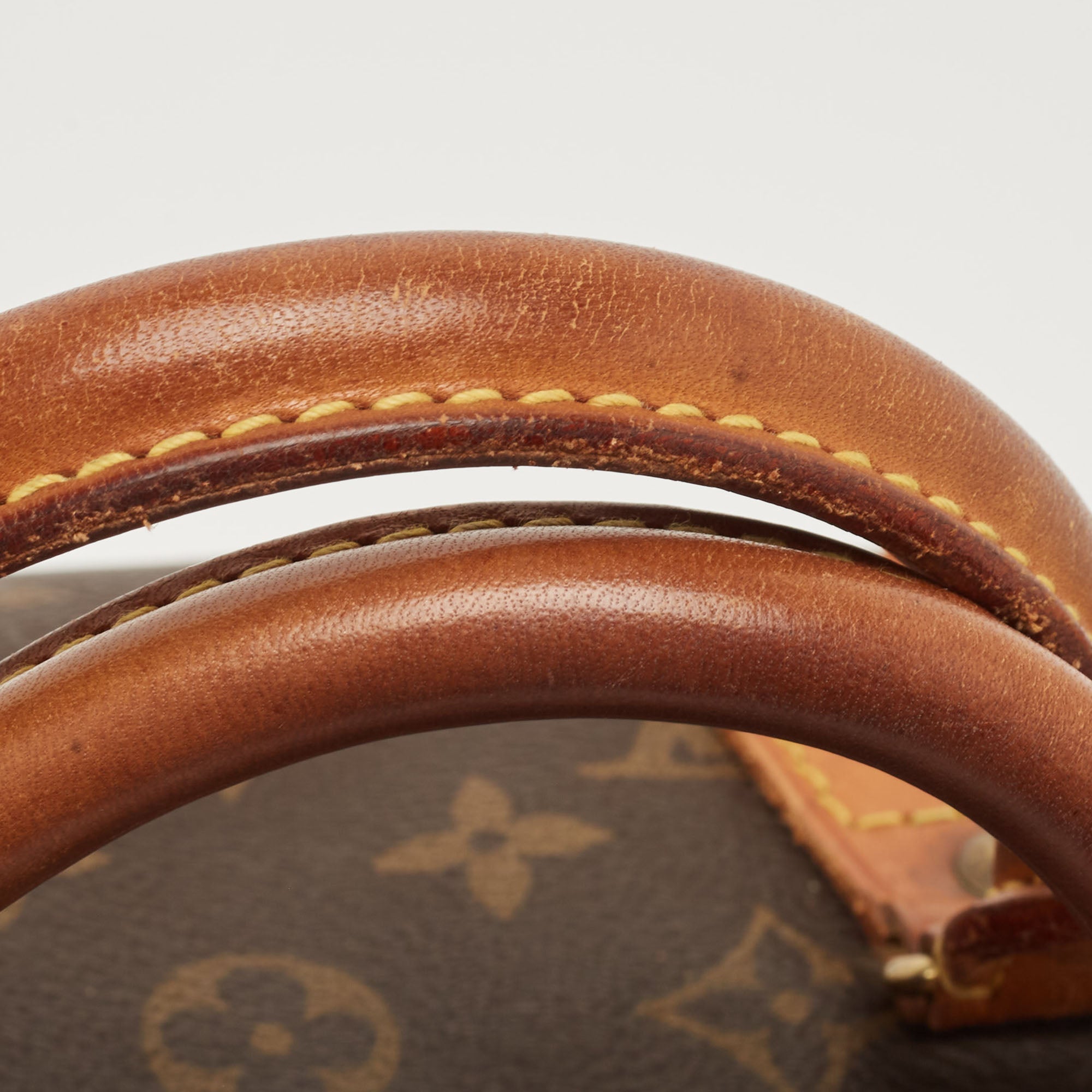LOUIS VUITTON Monogram Canvas Speedy 30 Bag
