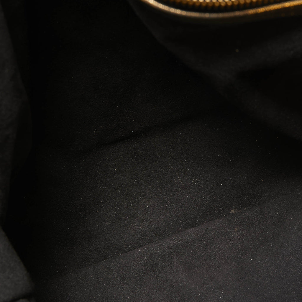 LOUIS VUITTON Monogram Canvas Limited Edition Irene Bag