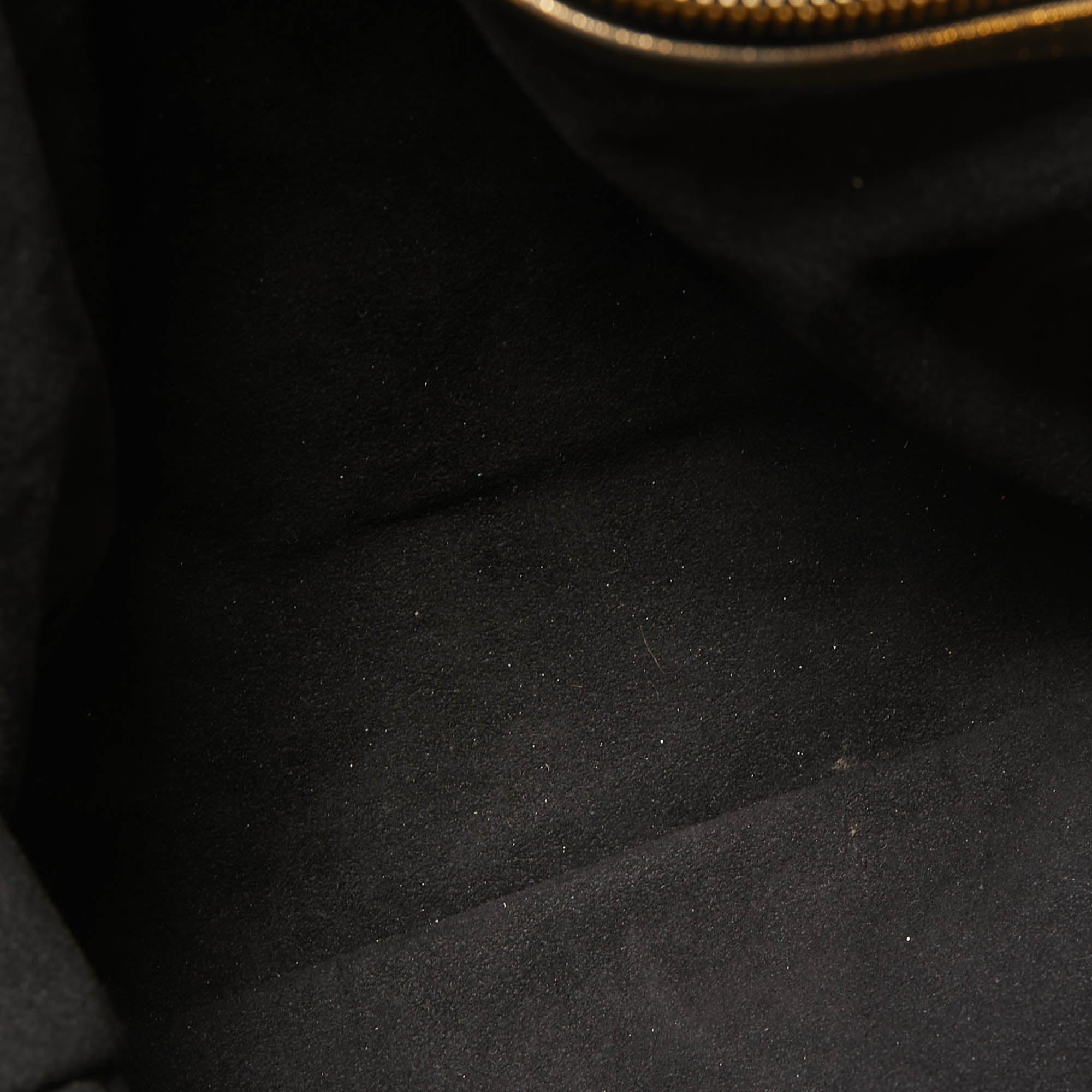 LOUIS VUITTON Monogram Canvas Limited Edition Irene Bag