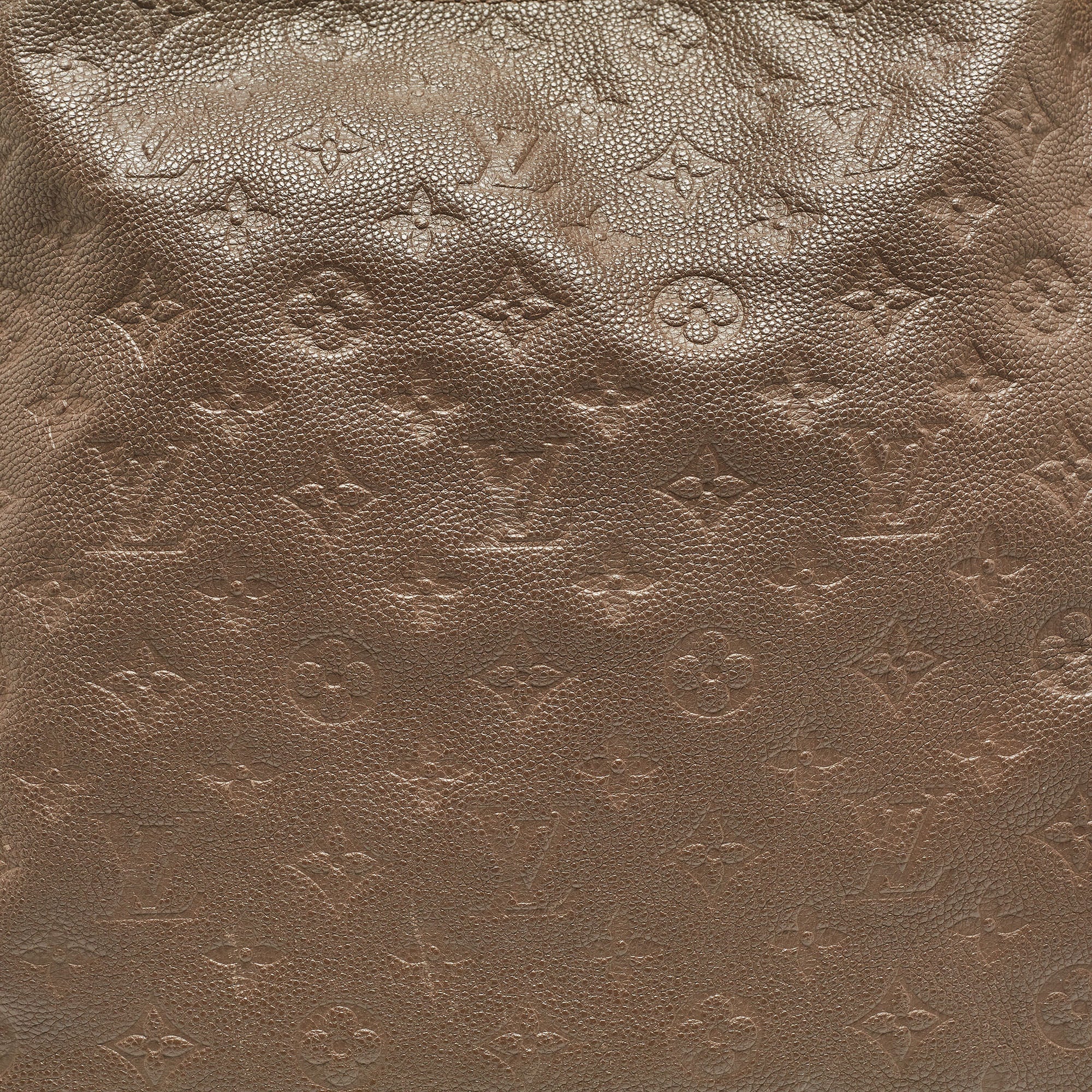 LOUIS VUITTON Terre Monogram Empreinte Leather Artsy MM Bag